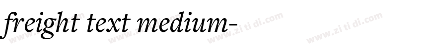 freight text medium字体转换 freight text medium字体转换